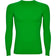 Verde helecho