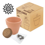 MACETA TERRACOTA COSMOS"FLORAL" - 10200-GIRASOL