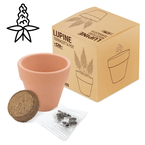 MACETA TERRACOTA COSMOS"FLORAL" - 10200-LUPINE