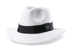 Sombrero Sintético Teilor