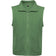 Verde senda