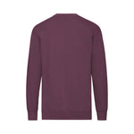 Sudadera Adulto Lightweight Set-In S