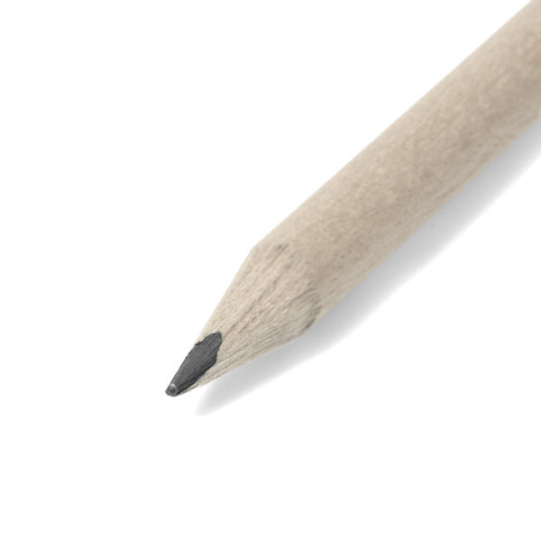 Texto alternativo de imagen