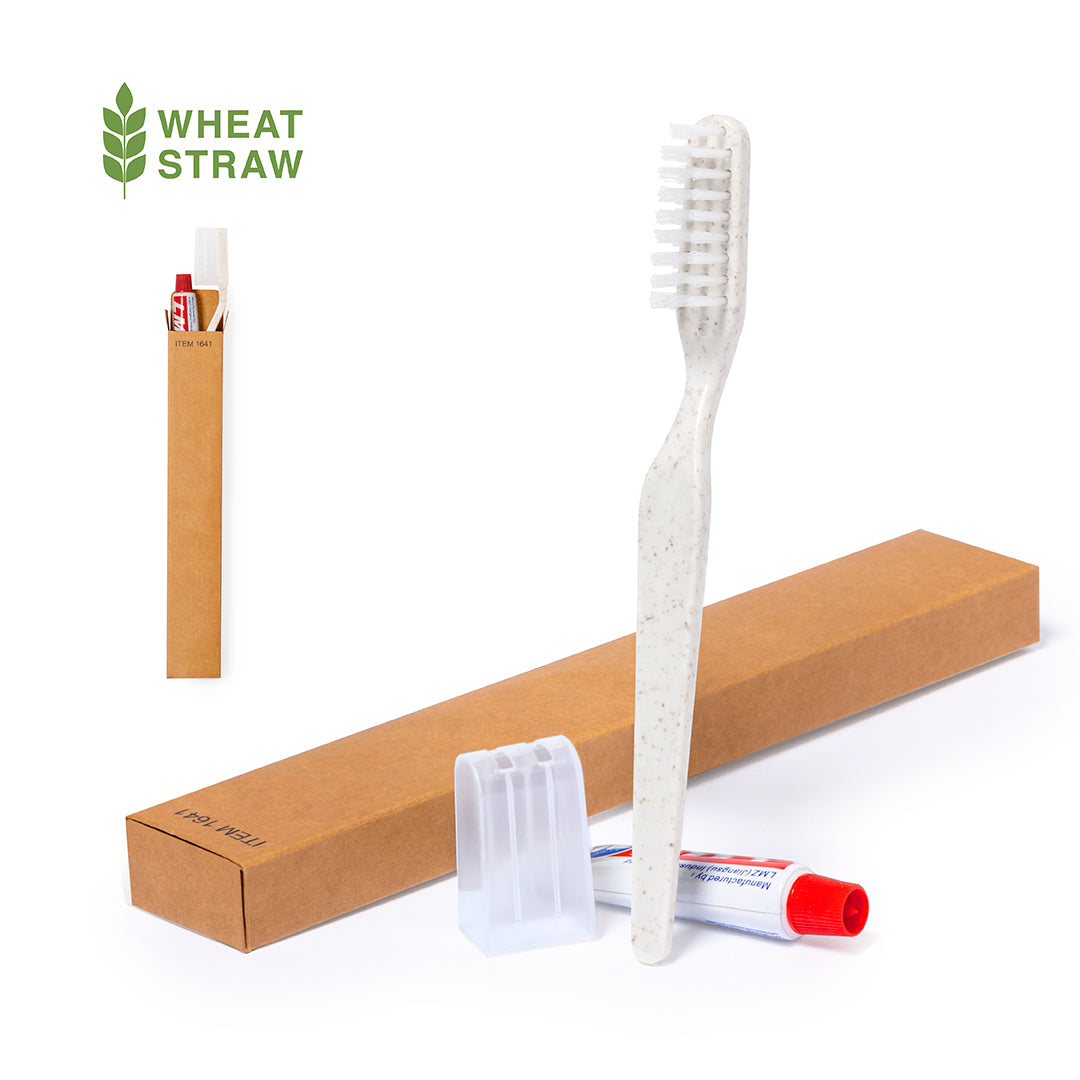 Set Dental Kit