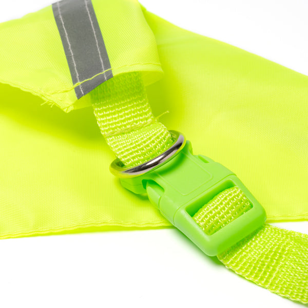 Texto alternativo de imagen