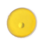 gorf:3d9dde6b7892501ae1fce47a12c326cbcf0cdf5c