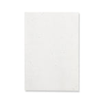 Bloc Notas Semillas Maiwen