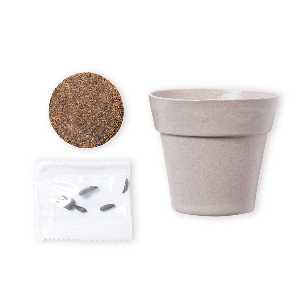 Texto alternativo de imagen