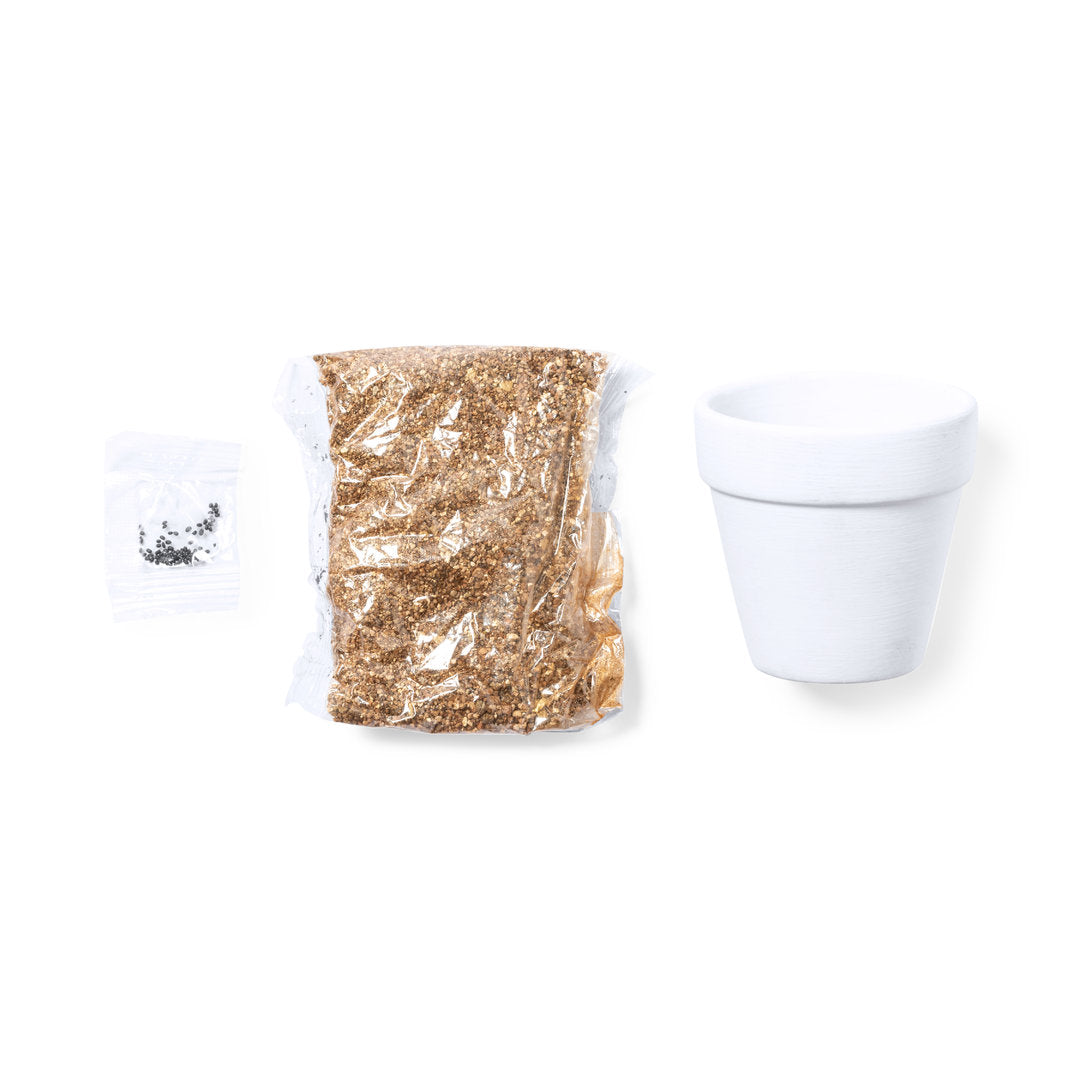 Texto alternativo de imagen