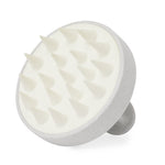 Emulsionador Nocote