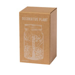 Planta Decorativa Kyala