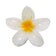 Flor