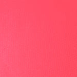 Camiseta Mujer Cocker