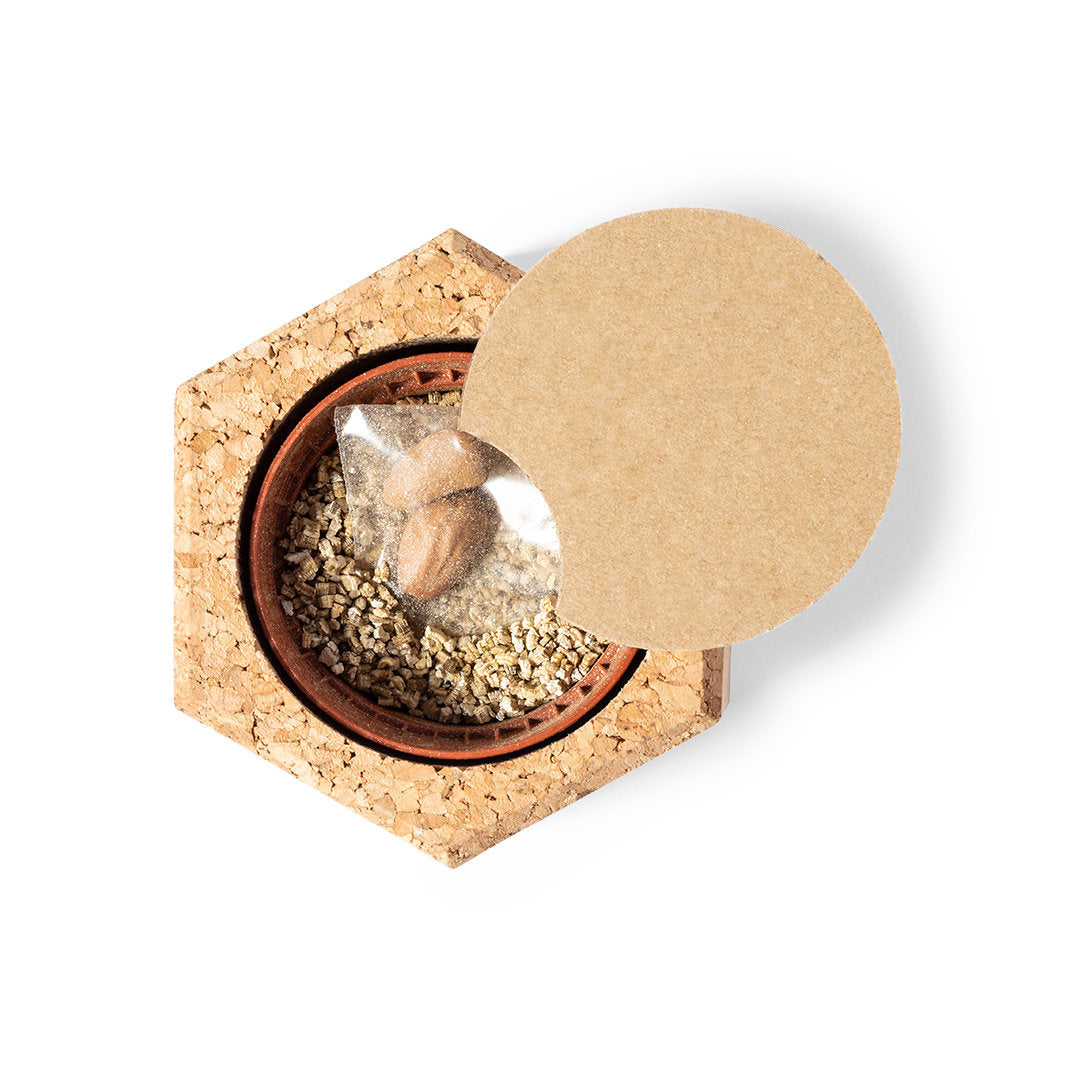 Texto alternativo de imagen