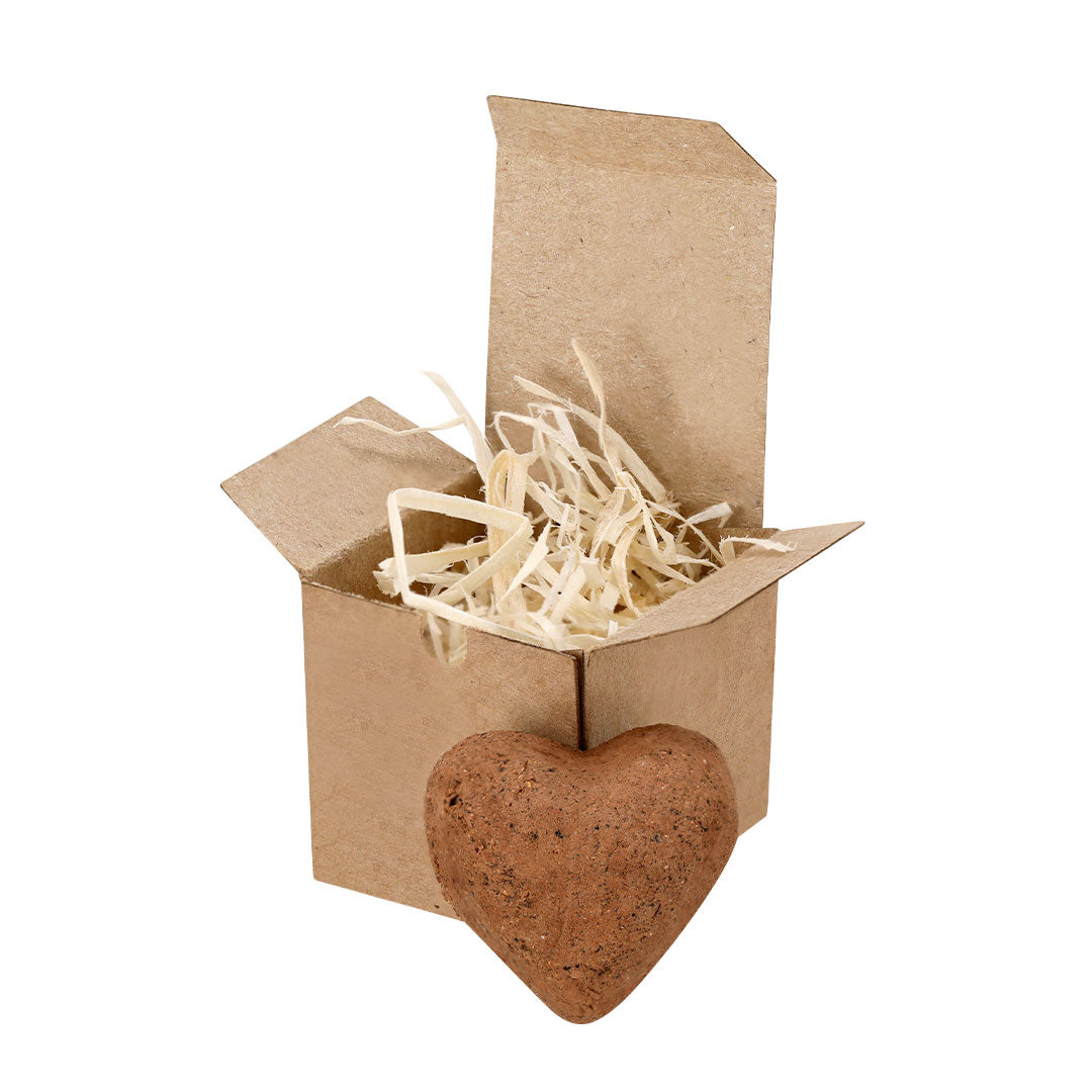 Texto alternativo de imagen