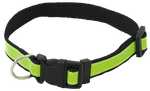 Collar Muttley