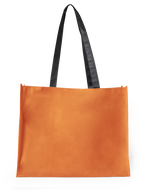 Bolsa Tucson