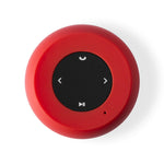 Altavoz Braiss