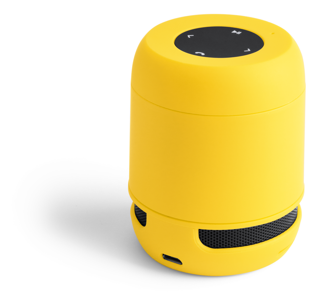 Altavoz Braiss