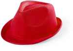 Sombrero Niño Tolvex