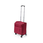 Trolley Zoidel