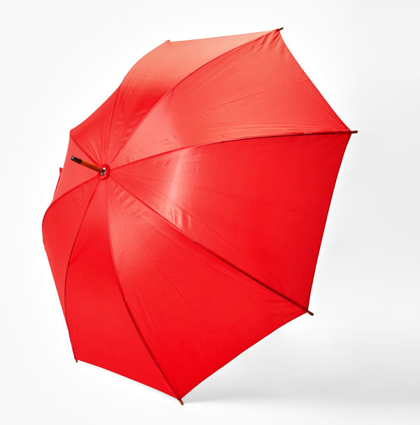 Texto alternativo de imagen