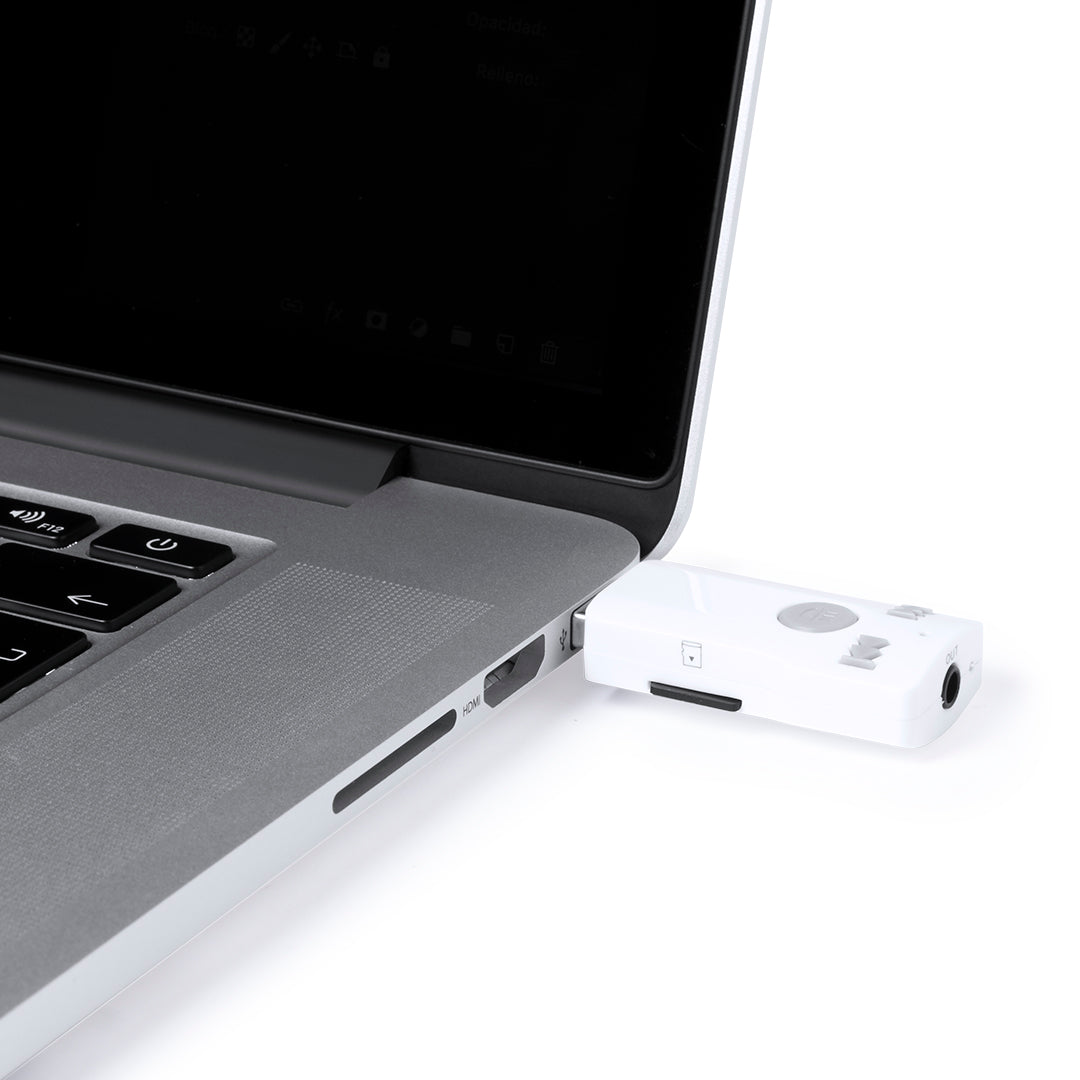 Receptor Bluetooth Domky