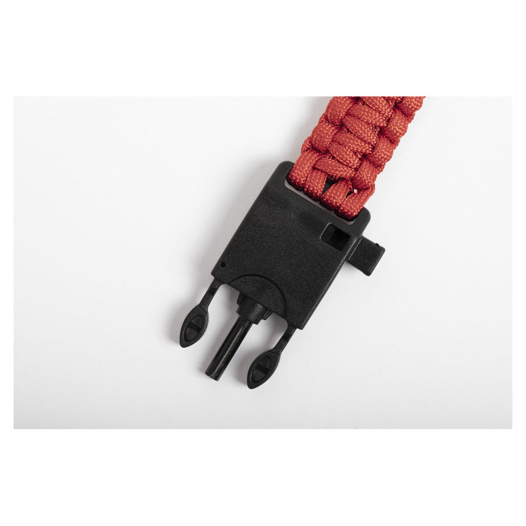 Texto alternativo de imagen