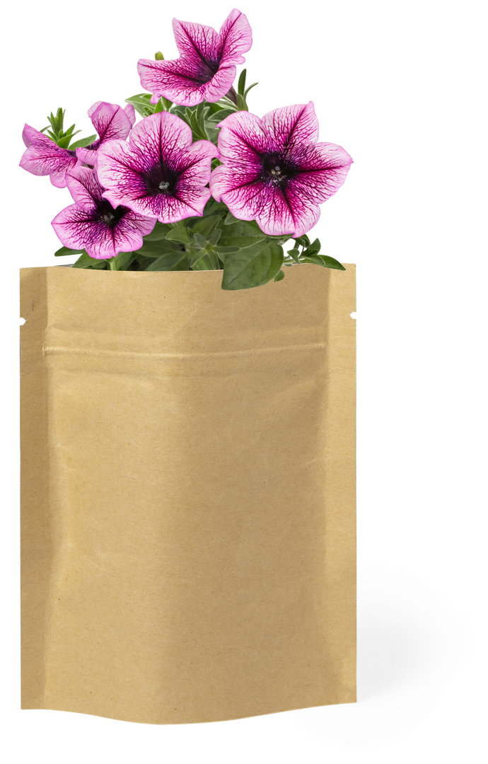 Texto alternativo de imagen