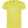 Amarillo fluor