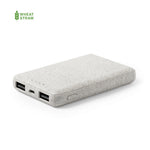 Power bank Shiden 5000mAh