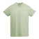 Verde mist