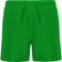 Verde helecho