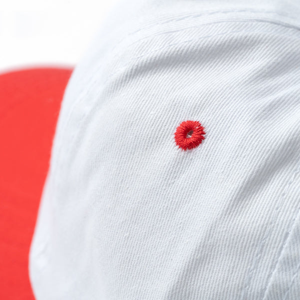 Texto alternativo de imagen