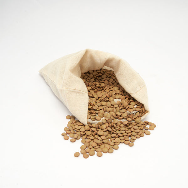 Texto alternativo de imagen