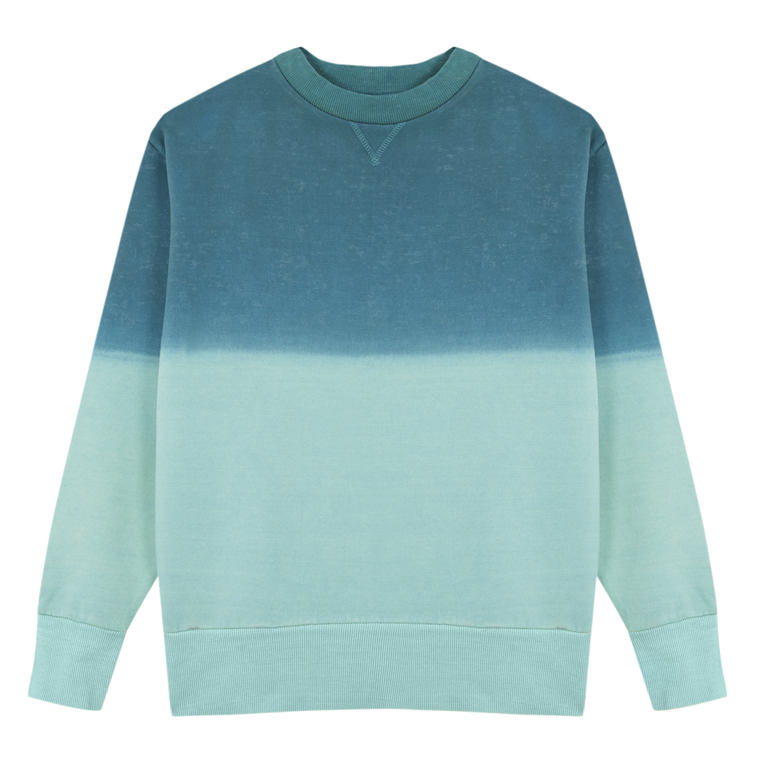 Sudadera Adulto Truyi