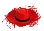 Sombrero Filagarchado