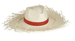 Sombrero Filagarchado