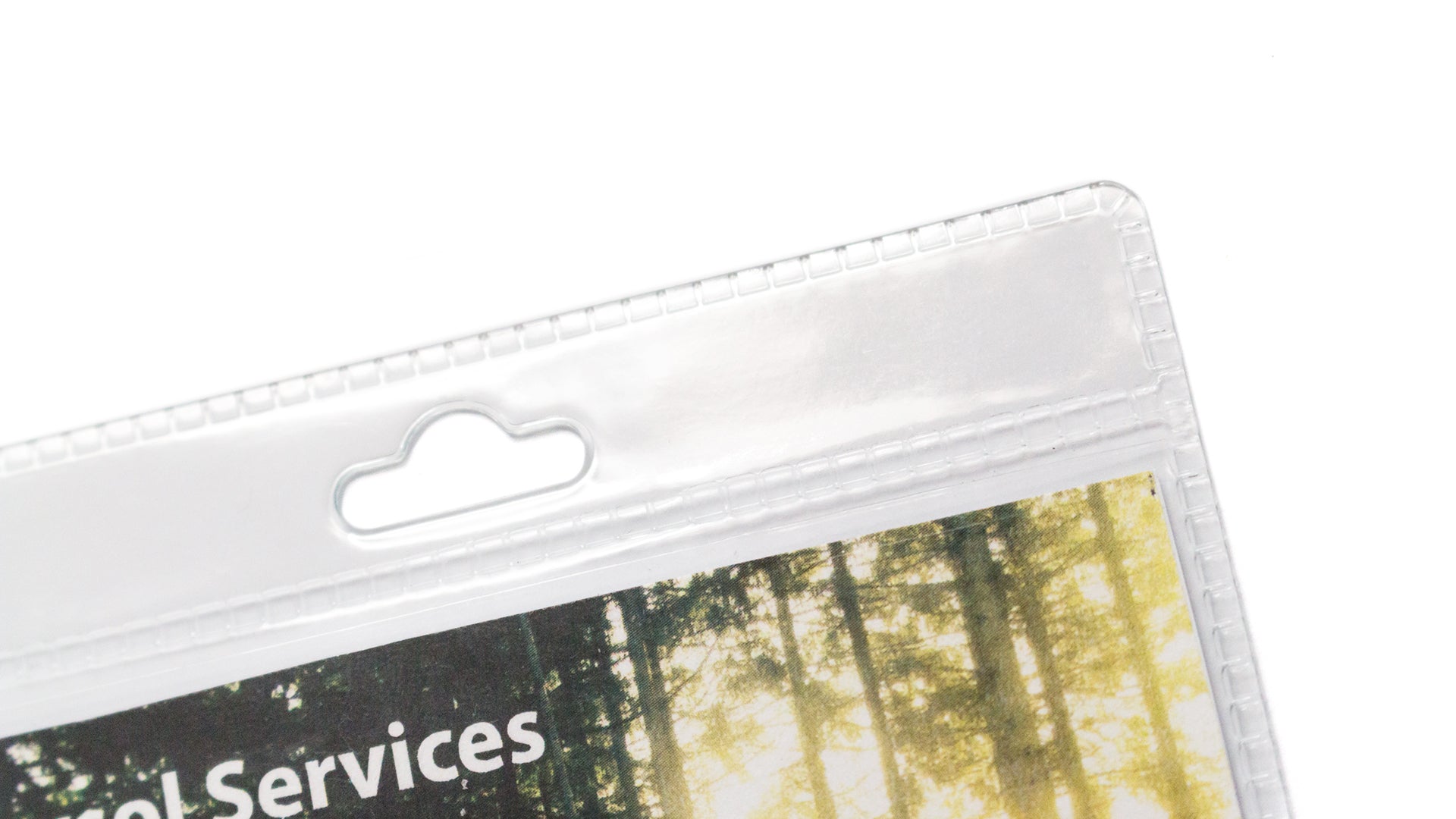 Texto alternativo de imagen