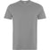 Gris vigore