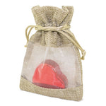 BOLSA "BRILL" - D-024-PI