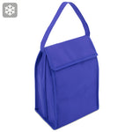 NEVERA CAPACIDAD 9 LATAS "PALUK" - T-084-AZ