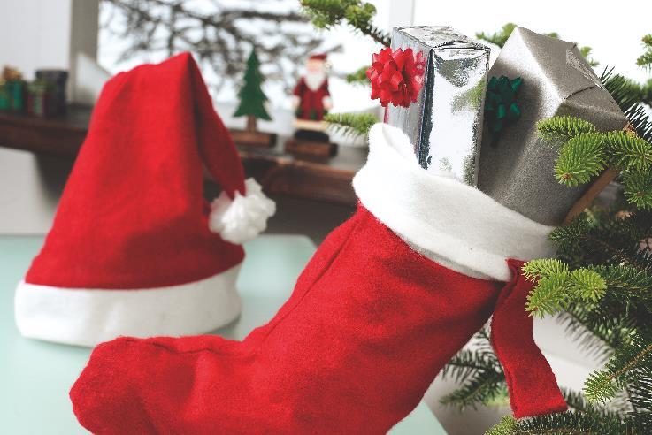 Gorro Papá Noel