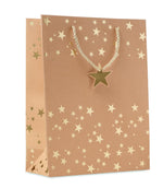 Bolsa de papel de regalo