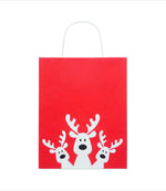 Bolsa papel de regalo pequeña