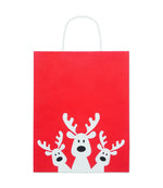Bolsa papel de regalo mediana