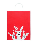 Bolsa papel de regalo grande