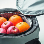 Barbacoa Bolsa nevera
