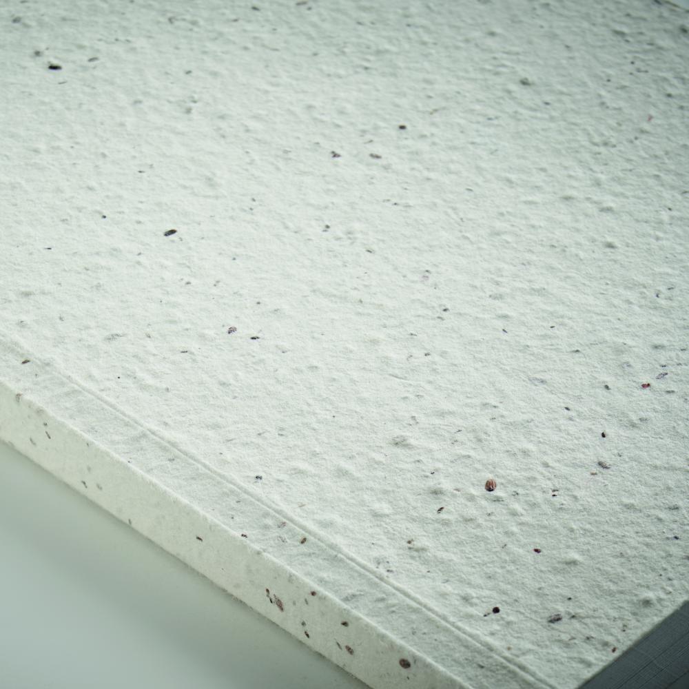 Libreta A5 tapas de semillas