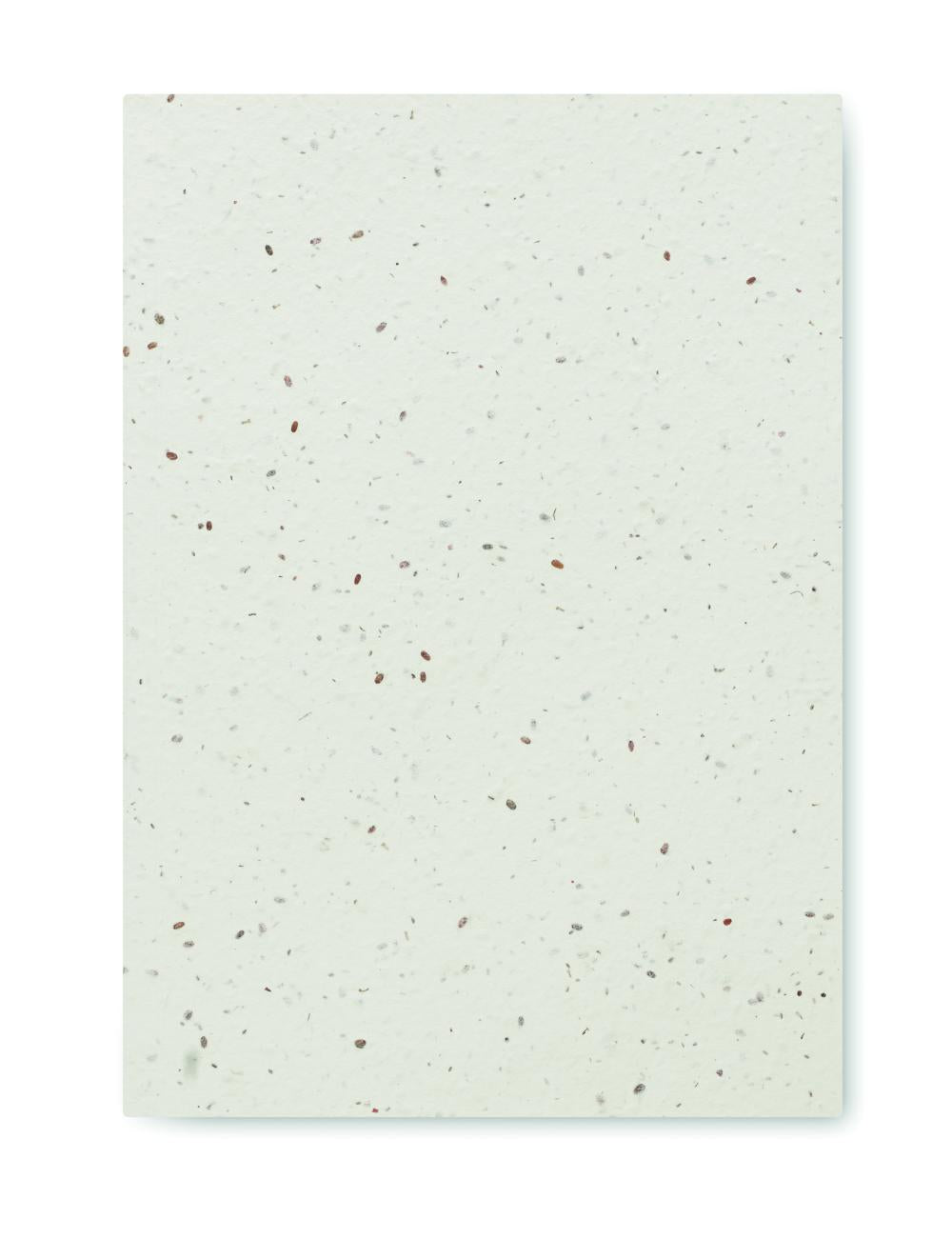 Libreta A5 tapas de semillas